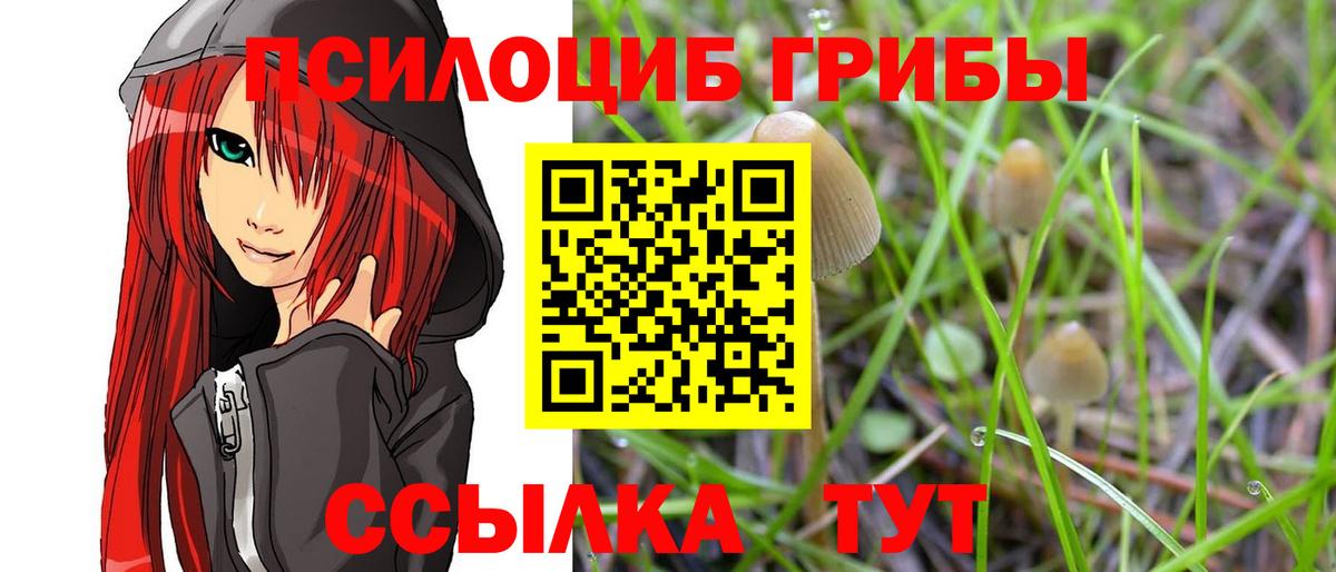 Галлюциногенные грибы Magic Shrooms Благовещенск